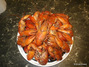 Cooked yabbies ready to eat